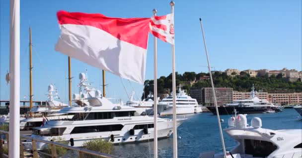 Monte Carlo Monako Temmuz 2020 Monako Ulusal Bayrağı Kırmızı Beyaz — Stok video