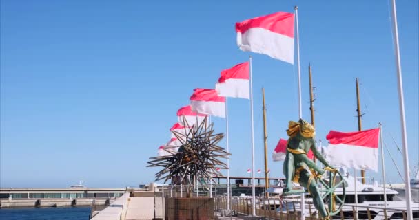 Monte Carlo Monako Temmuz 2020 Monako Ulusal Bayrağı Kırmızı Beyaz — Stok video