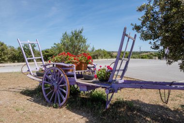 Valensole, Fransa - 5 Temmuz 2020: Mor lavanta renginde dekoratif köylü arabası ve üzerinde çiçek açan kırmızı çiçekler olan bir konteynır