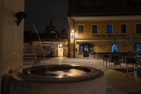 Kamnik Slovenien Augusti 2020 Fontänen Och Galleriet Gamla Staden Kamnik — Stockfoto