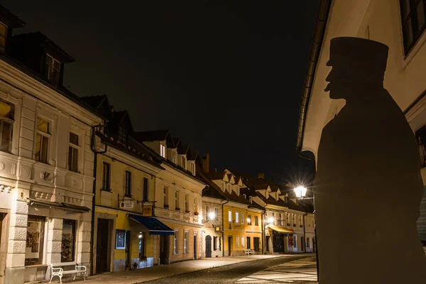 Kamnik Slovenya Ağustos 2020 Kamnik Yerel Kahramanı General Rudolf Meister — Stok fotoğraf