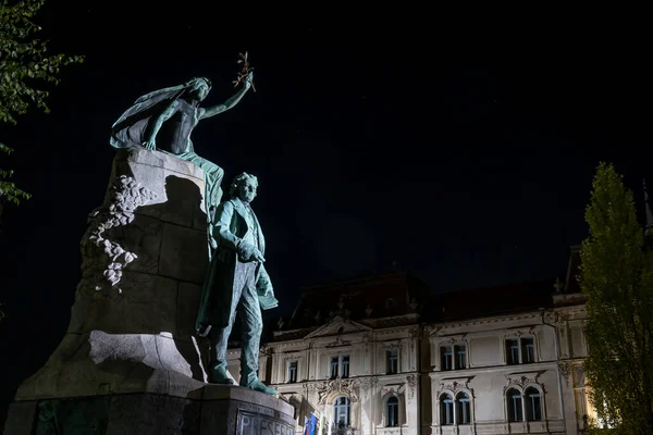 Любляна Словенія Серпня 2020 Статуя Франції Пресерена Найбільшого Лесбійського Поета — стокове фото