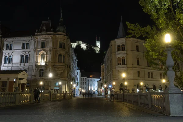 Ljubljana Slovenya Ağustos 2020 Geceleri Ljubljana Nın Eski Merkezi Tepedeki — Stok fotoğraf