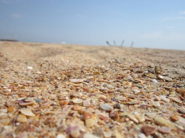 Yaz. Deniz. Eğlence. Tatil.