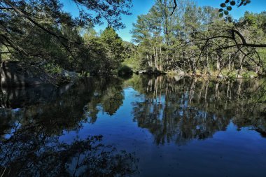 Avila 'daki evimin yakınındaki Alberche nehrinde sakin bir yer.