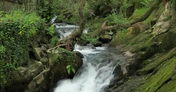 Rivière Galice 