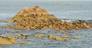 Galiçya kıyıları