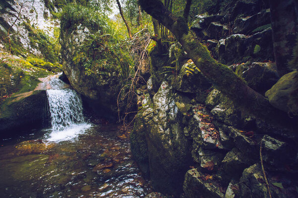 Waterfall in the middle of the forest surrounded by stones