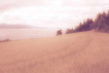 Her şey bulanık bir rüyadır