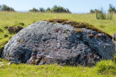 Yeşil bir alanda büyük taş