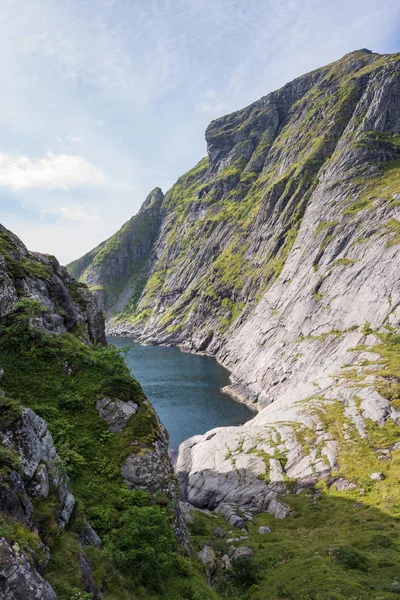 洛福敦群岛夏季的山地景观 挪威美丽的自然与令人叹为观止的山脉和锐利的绿色山峰 — 图库照片