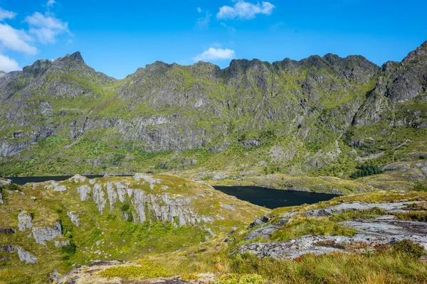 Berglandschaft Sommer Auf Den Hohen Inseln Die Wunderschöne Natur Norwegens — Stockfoto
