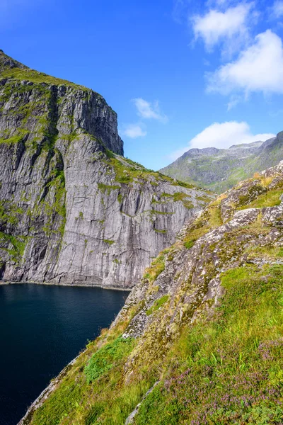 Bergslandskapet Sommaren Lofoten Öarna Den Vackra Naturen Norge Med Sina — Stockfoto