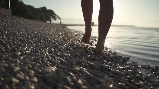 Девушка ходит босиком по пляжу на рассвете . — стоковое видео