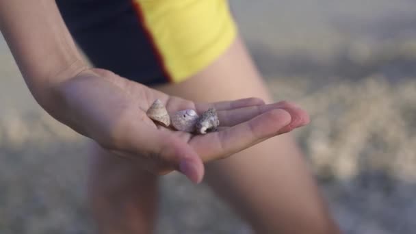 Mořské mušle v chladné ruce. — Stock video