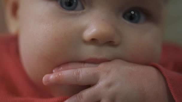 Ein kleines einjähriges Mädchen saugt an ihren Fingern. Ihre Zähne sind durchbohrt. Das Kind blickt in die Kamera. — Stockvideo