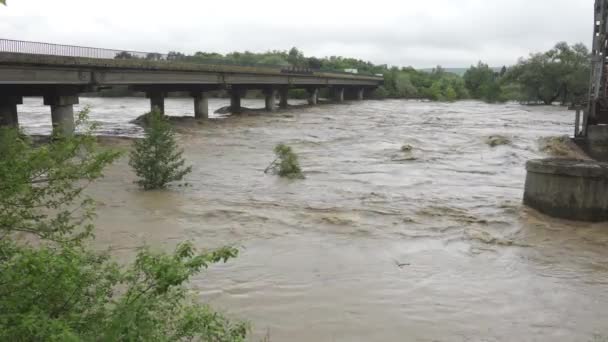 Brücke über den überquellenden Fluss. Stürmisches Wasser fließt. Extrem hoher Wasserstand im Fluss. Naturkatastrophe in der Westukraine. — Stockvideo