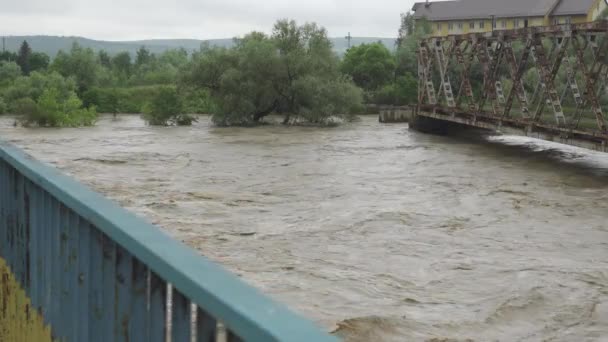 Sel sırasında nehir. Kirli su akıntıları yüksek hızda akıyor. Çatışma mevcut köprüden yürütülüyor. Doğal afetler Ukrayna — Stok video