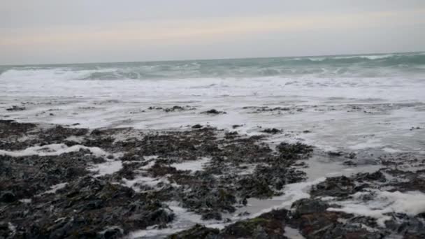 Algas expostas na maré baixa. As ondas do oceano. Etretat. França — Vídeo de Stock