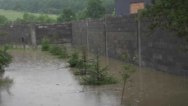 Overstroomd privé-huis tijdens een overstroming. Het regent en het waterpeil stijgt. Limnitsa rivier Oekraïne. — Stockvideo