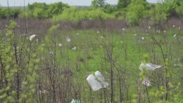 Plastic zakken hangen aan de takken van struiken en bomen. Een milieuramp bij de stortplaats. De wind voert de pakketten over een lange afstand. — Stockvideo