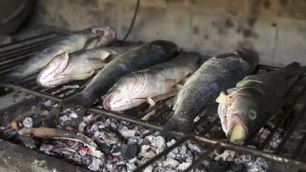在烤架上烤鱼的过程 — 图库视频影像