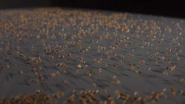 Buckwheat falls on a glass table. Slow motion side view. — Stock Video