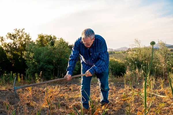 Vecchio Camicia Blu Plaid Jeans Che Lavorano Terreno Del Suo — Foto Stock