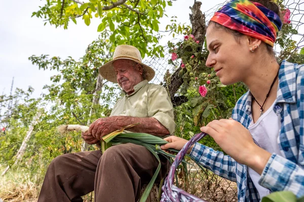 Hasır şapkalı yaşlı adam kütüğün üzerinde sebze keserken torunu ona yardım ediyor.