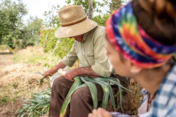 Old man in a straw hat cutting vegetables sitting on a log while his granddaughter helps him