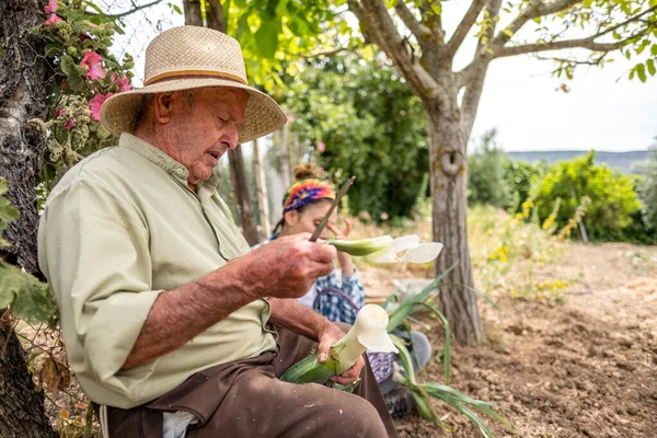 Vecchio Con Cappello Paglia Che Taglia Verdure Seduto Tronco Mentre — Foto Stock