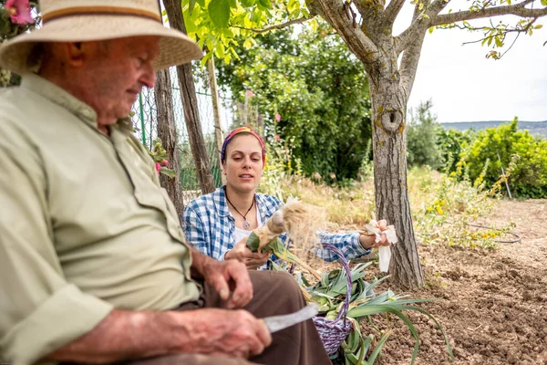 Vecchio Con Cappello Paglia Che Taglia Verdure Seduto Tronco Mentre — Foto Stock