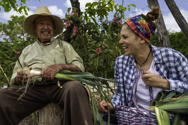 Hasır şapkalı yaşlı adam kütüğün üzerinde sebze keserken torunu ona yardım ediyor.