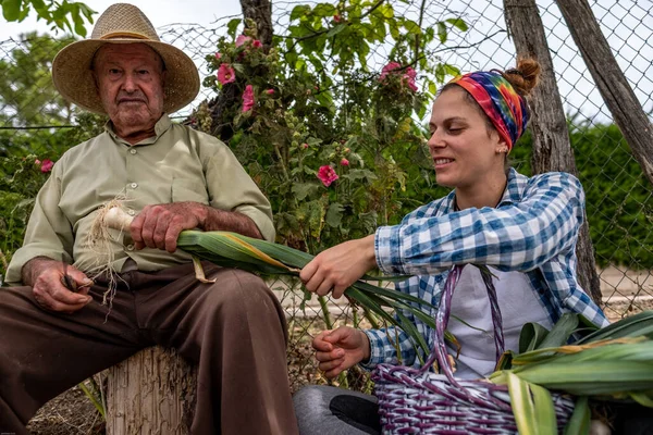 Hasır şapkalı yaşlı adam kütüğün üzerinde sebze keserken torunu ona yardım ediyor.