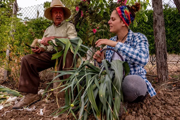 Vecchio Con Cappello Paglia Che Taglia Verdure Seduto Tronco Mentre — Foto Stock