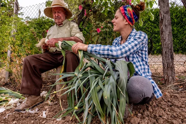 Vecchio Con Cappello Paglia Che Taglia Verdure Seduto Tronco Mentre — Foto Stock