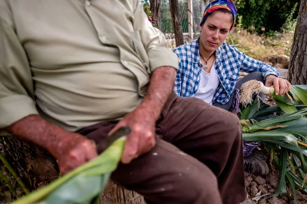 Hasır şapkalı yaşlı adam kütüğün üzerinde sebze keserken torunu ona yardım ediyor.