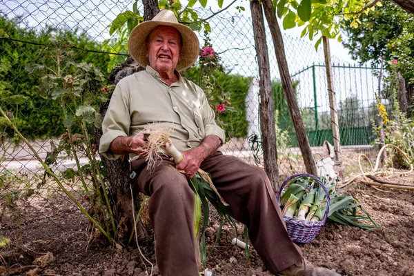 Hasır şapkalı yaşlı adam kütüğün üzerinde oturmuş sebze kesiyor.