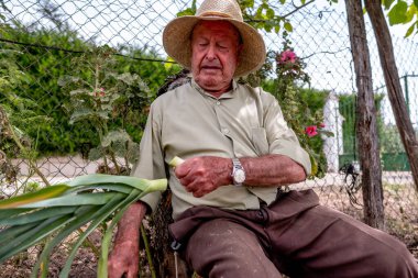 Hasır şapkalı yaşlı adam kütüğün üzerinde oturmuş sebze kesiyor.