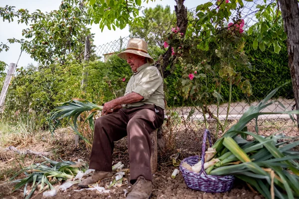 Vecchio Con Cappello Paglia Che Taglia Verdure Seduto Tronco — Foto Stock