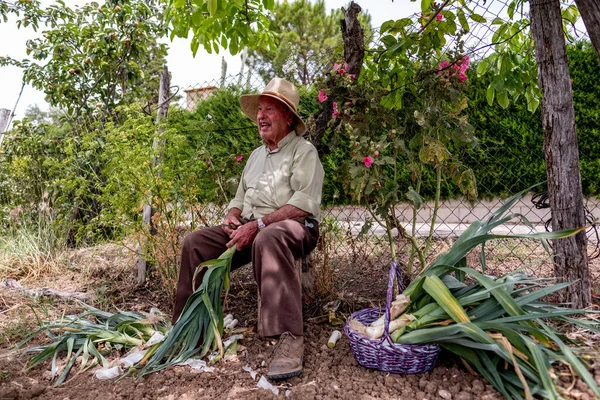 Hasır şapkalı yaşlı adam kütüğün üzerinde oturmuş sebze kesiyor.