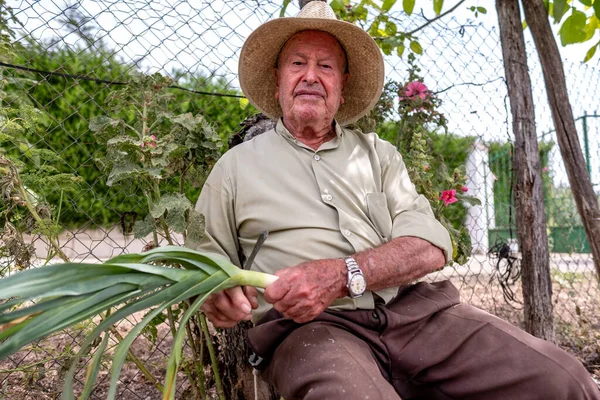 Hasır şapkalı yaşlı adam kütüğün üzerinde oturmuş sebze kesiyor.