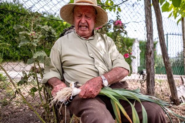 Hasır şapkalı yaşlı adam kütüğün üzerinde oturmuş sebze kesiyor.