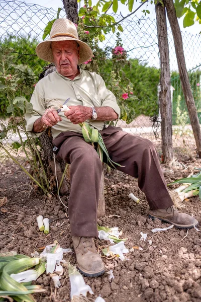 Hasır şapkalı yaşlı adam kütüğün üzerinde oturmuş sebze kesiyor.