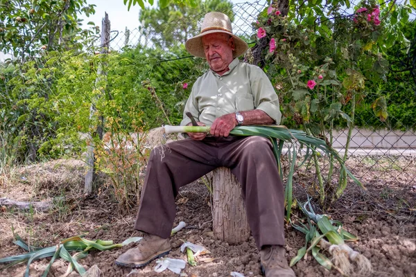 Vecchio Con Cappello Paglia Che Taglia Verdure Seduto Tronco — Foto Stock