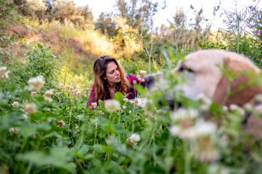 Uzun otlarla çevrili bir çiçek tarlasında köpeğiyle oturan genç Latin kadın.