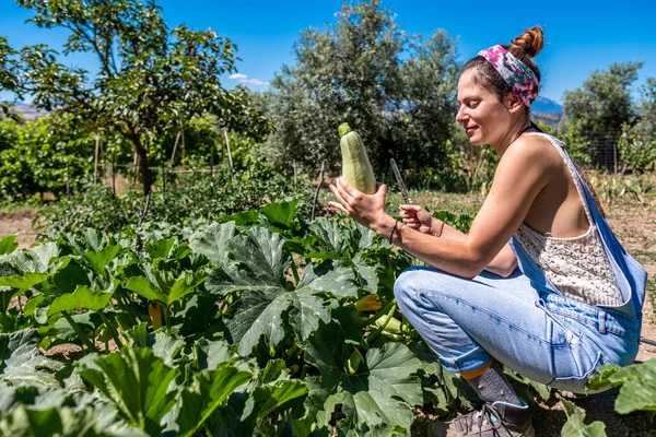 Giovane Donna Latina Con Dungaree Velo Raccogliendo Zucchine Dal Giardino — Foto Stock