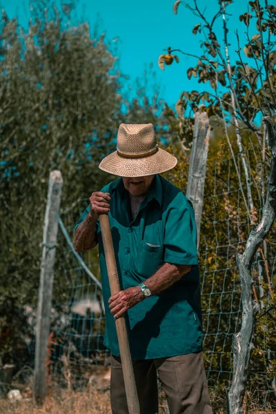 Uomo Anziano Cappello Paglia Camicia Lunga Blu Brillante Arare Mano — Foto Stock