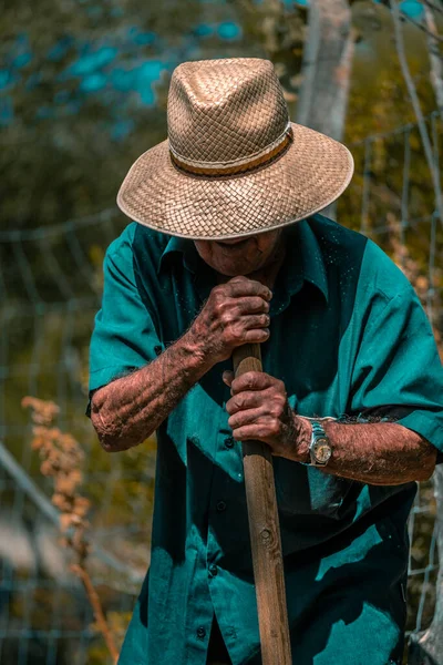 Uomo Anziano Cappello Paglia Camicia Lunga Blu Brillante Arare Mano — Foto Stock