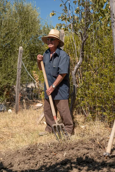 Hasır şapkalı, parlak mavi gömlekli yaşlı adam tarlada elinde bir yabayla sürtünüyor.